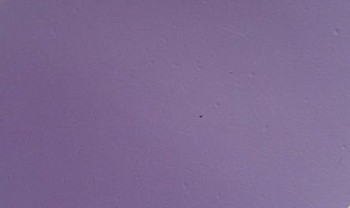 Линолеум Bogger StartExpo StartExpo 1307 фото 1 | FLOORDEALER